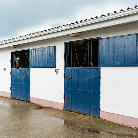 Private Near Rock Of Cashel And Workspace בית נופש Kilbreedy